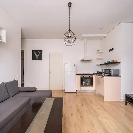 Residential In Near Agenskalna Quarter * 里加
